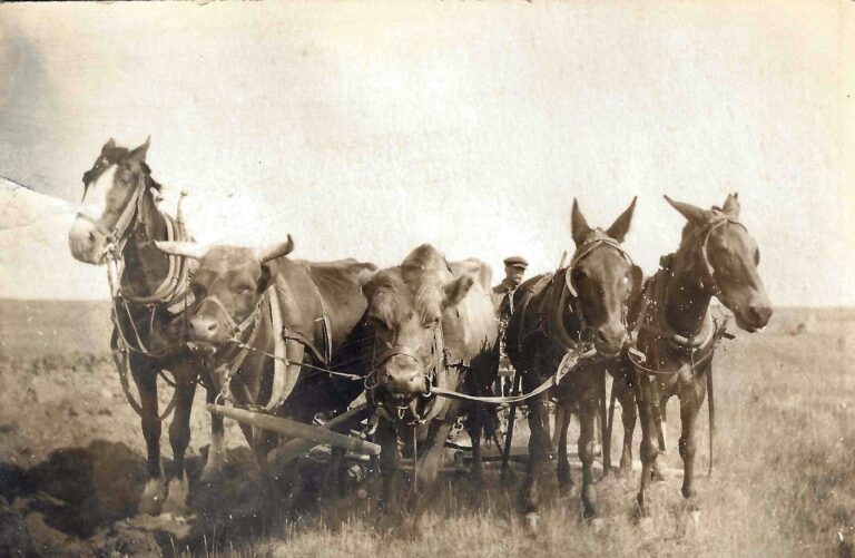 1912 Robert Booker with mixed team