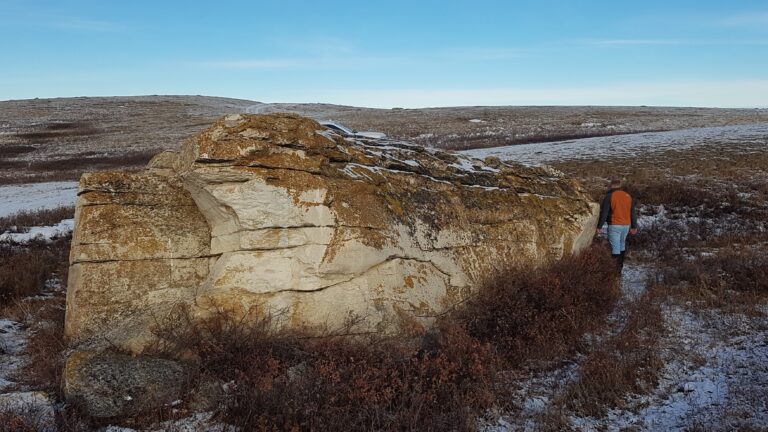 Buffalo Rubbing Stone