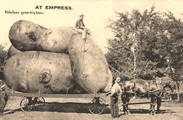 1913 CPR Postcard Propaganda for Empress