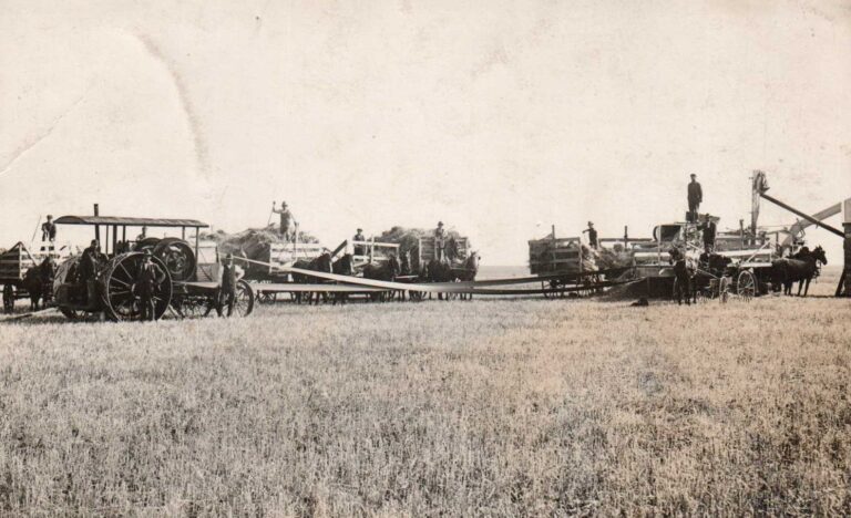 Harvest Time