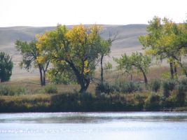 Fall Colours on river