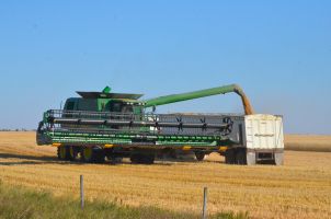 Harvesting 2013