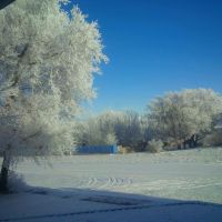 First winter in Empress by Allison MacMillan