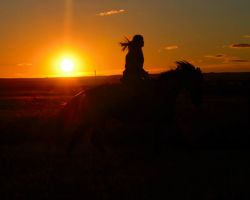 Evening ride by April