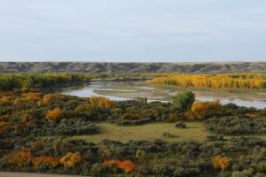 Fall on the Red Deer River by Cathy Cocks
