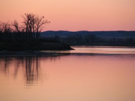 Pink sunset with eagles 3