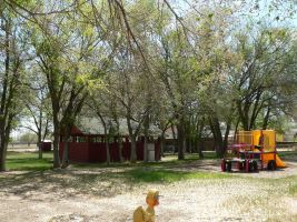 Centennial Park Playground