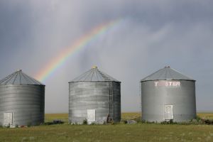 Pot of Gold... by Carmen