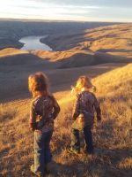 Scouting for deer by Heidi Downey-2