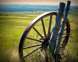 Shades of yesteryear by Tracy Hudson