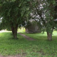 The Path Less Travelled by Dennis