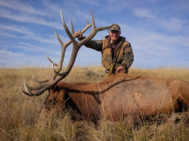 Bruce's Elk