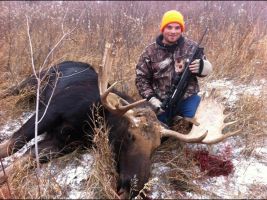 Chad's Bull Moose