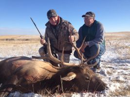 Elk hunting 3