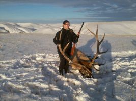 Elk shot on Hargraves
