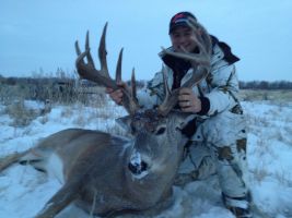 Trent deer 1