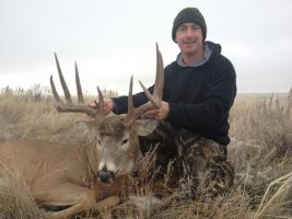 White tail buck hunting