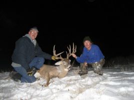White-tailed deer hunting 4