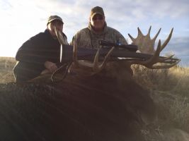 Moose hunting