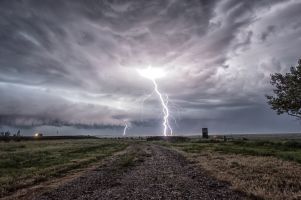 Alberta Lightning, Dan Sigouin