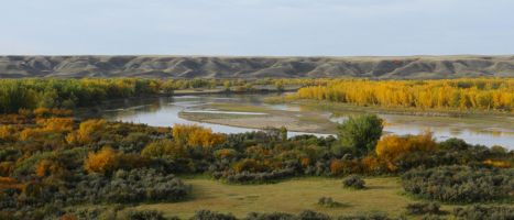 Fall on the Red Deer River by Cathy Cocks (Soliloquy Slide)