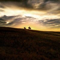 Hern's Guest Ranch