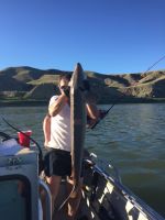 Sturgeon caught