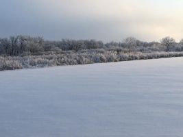 Winterscape on the Red Deer River
